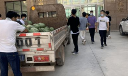 礼泉吃瓜最新事件爆料新闻,最新爆料揭示惊人内幕